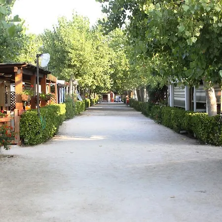 キャンプ場 Dream Village
