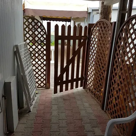 キャンプ場 Dream Village *
